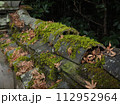 苔の生えた瓦と落ち葉 112952964