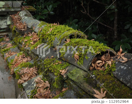 苔の生えた瓦と落ち葉 112952964