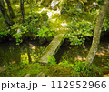 水面に映る木々と石橋 112952966