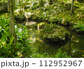 新緑の苔むした寺院の池 112952967