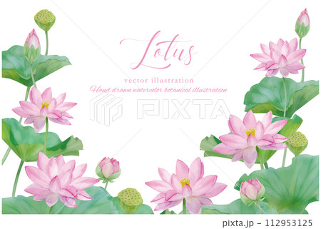 水彩手書きの蓮の花を装飾した葉の背景素材 水彩手書きの蓮の花を装飾した葉の背景素材 112953125
