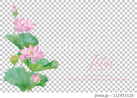 Illustration decorated with lotus flowers on a white background 112953128