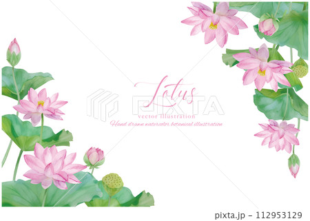 水彩手書きの蓮の花を装飾した葉の背景素材 112953129