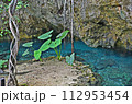セノーテ 112953454