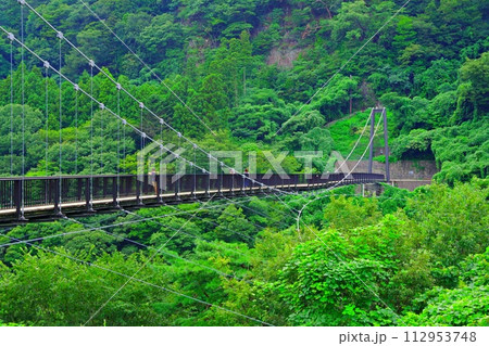 縁結びの橋と呼ばれる鬼怒川温泉の名所「鬼怒楯岩大吊橋」 112953748