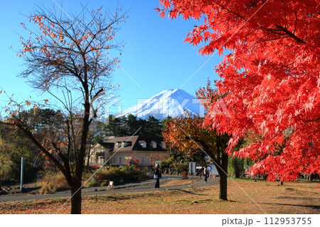 ハーブ館前からの富士山の景観 ハーブ館前からの富士山の景観 112953755