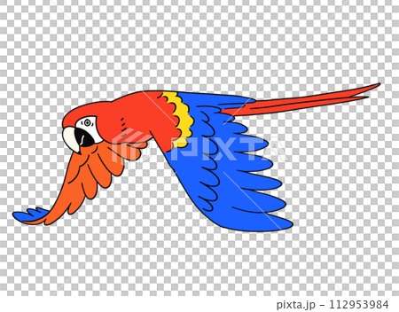 Hand drawn red macaw illustration material 112953984