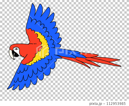 Hand drawn red macaw illustration material Hand drawn red macaw illustration material 112953985