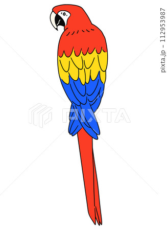 手描きのアカコンゴウインコのイラスト素材 112953987