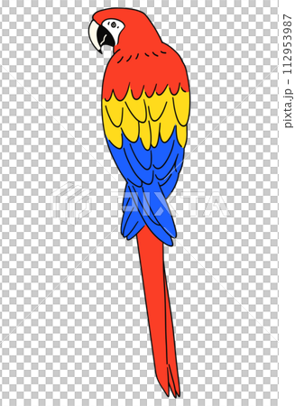 手描きのアカコンゴウインコのイラスト素材 112953987