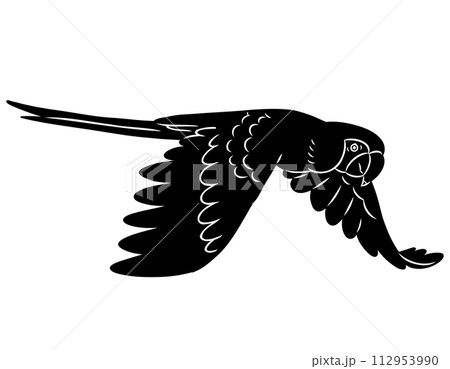 手描きのコンゴウインコのシルエット素材 手描きのコンゴウインコのシルエット素材 112953990