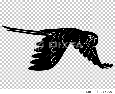 手描きのコンゴウインコのシルエット素材 手描きのコンゴウインコのシルエット素材 112953990