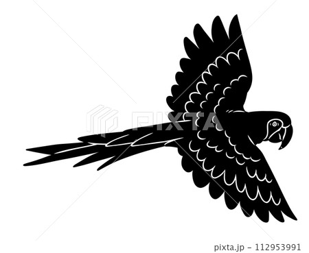 手描きのコンゴウインコのシルエット素材 手描きのコンゴウインコのシルエット素材 112953991