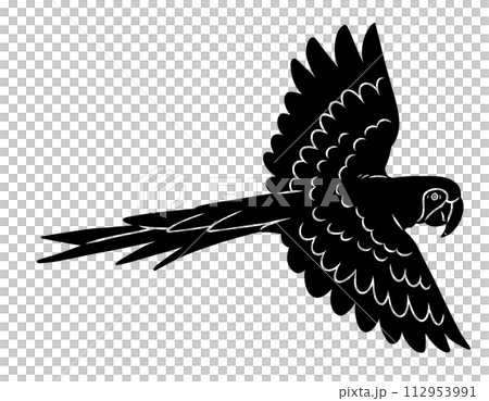 手描きのコンゴウインコのシルエット素材 手描きのコンゴウインコのシルエット素材 112953991