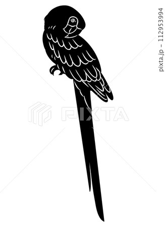 手描きのコンゴウインコのシルエット素材 手描きのコンゴウインコのシルエット素材 112953994
