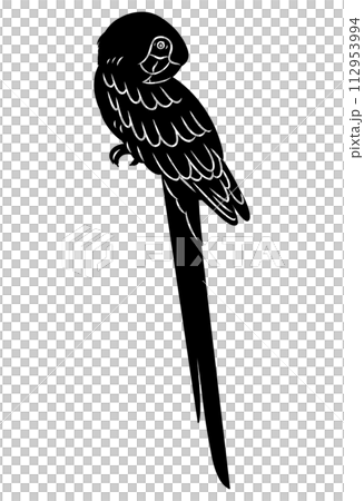 手描きのコンゴウインコのシルエット素材 手描きのコンゴウインコのシルエット素材 112953994