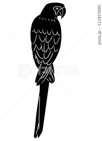 手描きのコンゴウインコのシルエット素材 手描きのコンゴウインコのシルエット素材 112953995