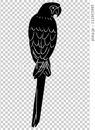手描きのコンゴウインコのシルエット素材 手描きのコンゴウインコのシルエット素材 112953995