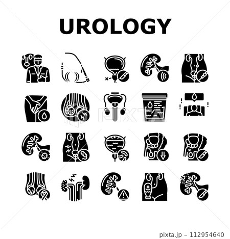 urology prostate urinary kidney icons set vector 112954640