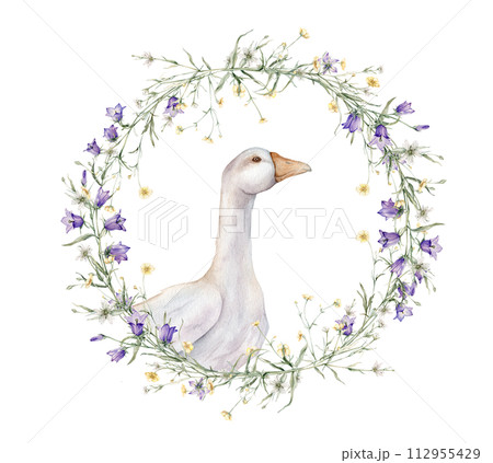 Wreath of yellow buttercup and little flower and violet bluebell. Domestic watercolor goose. Watercolor hand painting illustration on isolate. Circlet of meadow flowers. Botanical summer wildflowers. Wreath of yellow buttercup and little flower and violet bluebell. Domestic watercolor goose. Watercolor hand painting illustration on isolate. Circlet of meadow flowers. Botanical summer wildflowers. 112955429