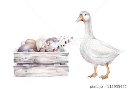 Cute watercolor illustration wooden box made of white gray with chicken and quail eggs and willow branches and white goose. wooden boards. Hand drawn easter illustration isolated on background. Cute watercolor illustration wooden box made of white gray with chicken and quail eggs and willow branches and white goose. wooden boards. Hand drawn easter illustration isolated on background. 112955432