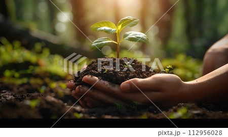 AI-generated content. Small Plant Into The Ground - Hands Planting Young Tree With Sunlight - nature concept -AI generated AI-generated content. Small Plant Into The Ground - Hands Planting Young Tree With Sunlight - nature concept -AI generated 112956028