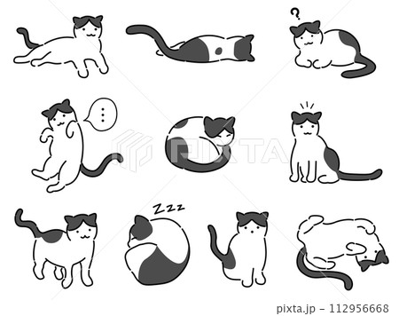 ハチワレ猫セット 112956668