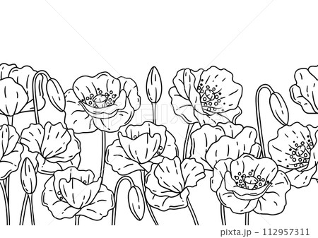 Pattern with poppies flowers. Beautiful decorative plants. Pattern with poppies flowers. Beautiful decorative plants. 112957311