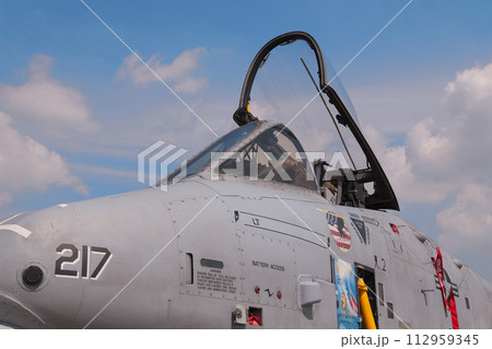 エプロンのアメリカ空軍A-10AサンダーボルトII攻撃機 112959345