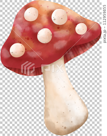 Red mushroom watercolor painting, hand drawn 112959855