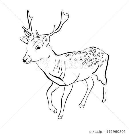 deer Line art illustration vector 112960803