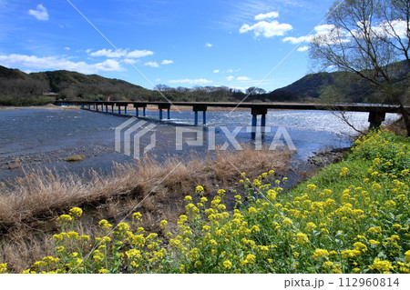 四万十川と佐田沈下橋 菜の花咲く季節 (高知県 四万十市) 四万十川と佐田沈下橋 菜の花咲く季節 (高知県 四万十市) 112960814