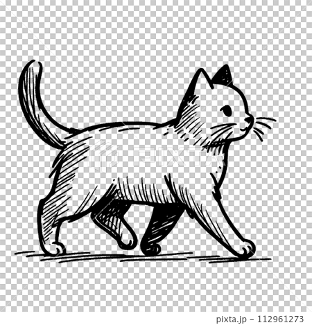 歩く猫 112961273