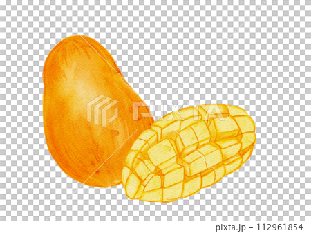 Tropical watercolor illustration of mango - cross section and one piece Tropical watercolor illustration of mango - cross section and one piece 112961854