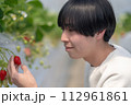 いちご狩りをする男の子 いちご狩りをする男の子 112961861