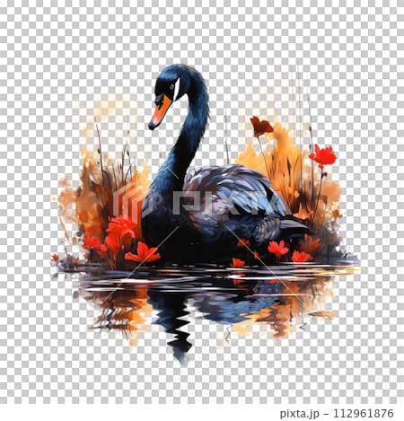 Black swan on clean background, DTG Printing, DTF Transfer, Sublimation designs, Bird. Wild Animals. Illustration, Generative AI. 112961876