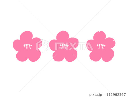 梅の花、桃の花、桜の花 梅の花、桃の花、桜の花 112962367