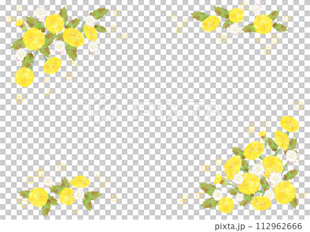 蒲公英的框架 112962666