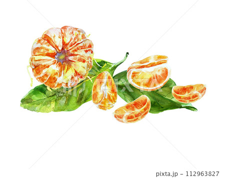 Paint of orange fruit with leaves. Watercolor hand-drawn elements. Isolated on white background. Delicious fruit clip-art illustration. Used on labels, napkins, towels, tableware, package 112963827