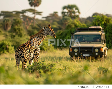 Giraffe in natural habitat with safari vehicle. Generative AI. 112963853