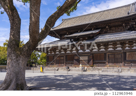 春の京都　東寺　金堂の前でお経を唱える僧侶 112963946