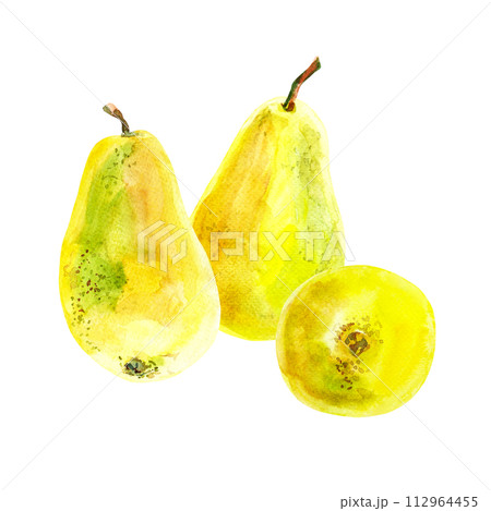 Set of fresh ripe yellow honey pear fruits. Hand drawn watercolor illustration. Delicious aromatic fruit ripened on a tree 112964455