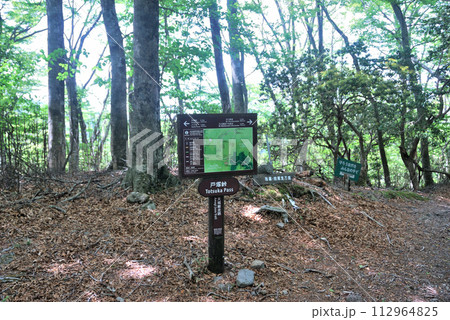 【山の標識】静岡県・天城山・戸塚峠（2011年） 112964825