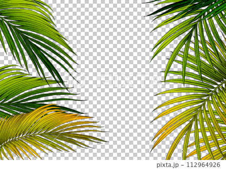 Background jungle leaves Background jungle leaves 112964926