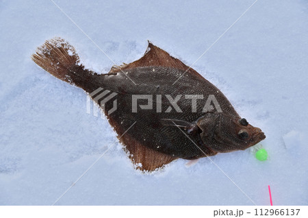 スナガレイ スナガレイ 112966137