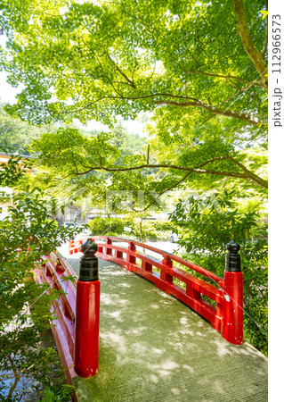 遠江国一宮 小國神社 宮川沿いの青紅葉 遠江国一宮 小國神社 宮川沿いの青紅葉 112966573