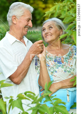 Loving mature couple in the park in summer 112966637