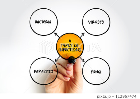 4 types of infections mind map text concept for presentations and reports 4 types of infections mind map text concept for presentations and reports 112967474