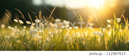 Beautiful panoramic background of the close-up view fresh green grass. Wallpaper, banner concept. 112967615