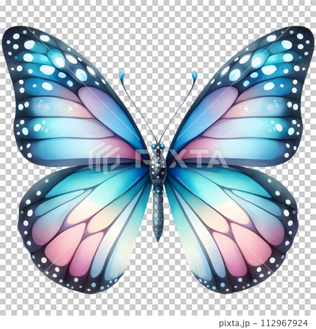 Colorful Watercolor butterfly PNG isolated on transparent background 112967924